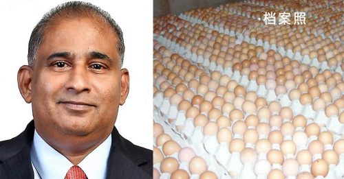 消联促政府 检查鸡蛋农场是否守SOP
