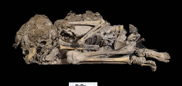 约6000年历史的木乃伊化儿童遗体。(法新社)
