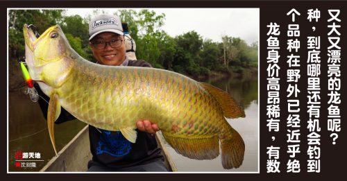 ◤钓游天地◢巴布亚“猎龙”之旅
