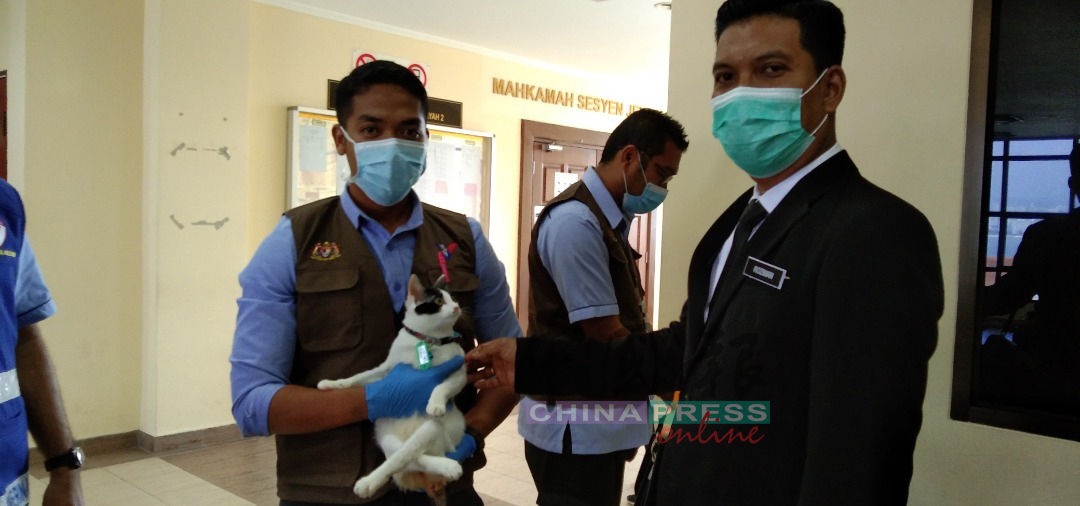 罗兹曼（右）与兽医局官员，带着被致伤的猫出庭。
