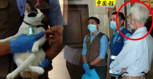 涉嫌金属棍致伤猫咪  华裔退休教师不认罪