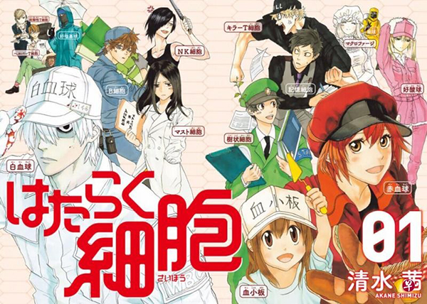 《工作细胞》是日本漫画家清水茜的漫画作品，2018年改编为动画，上个月起开始在央视播出，成为14年来该台首次播出的日本动画。