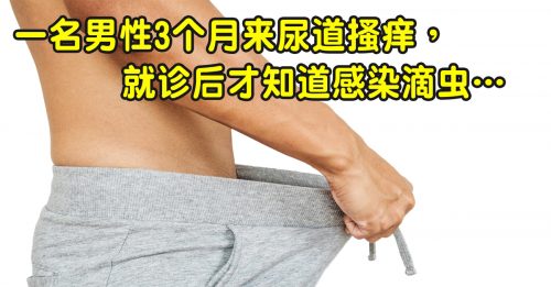◤修身养性◢滴虫感染多为性接触 伴侣需一起治疗
