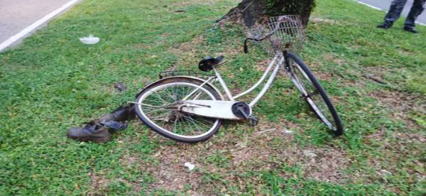 孟加拉籍男子所骑的脚车，倒在草地上。