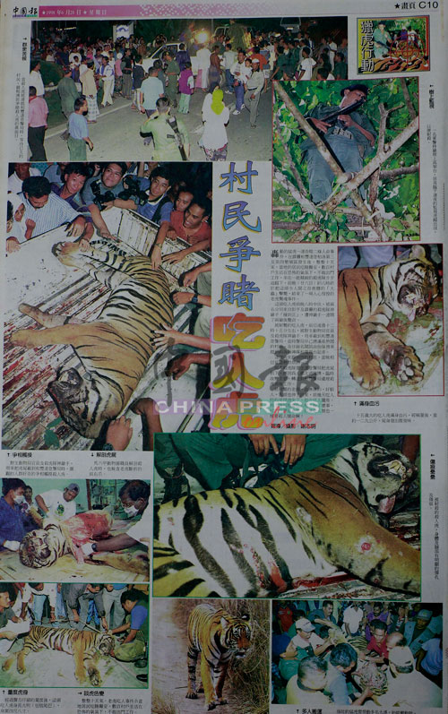 1998年在霹雳和丰吞噬两条人命的吃人虎事件，引起全国关注。