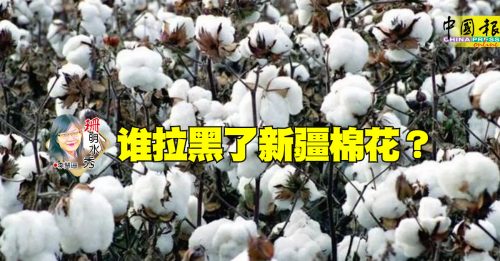 李慧珊：誰拉黑了新疆棉花？