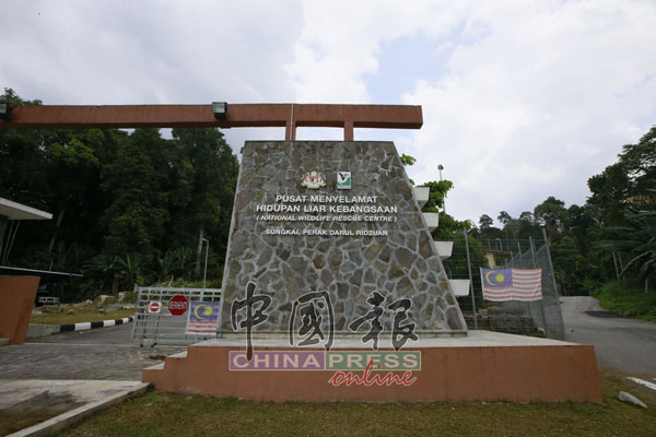 位于霹雳宋溪国家野生动物援救中心。
