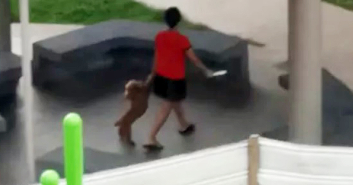 女子拉着贵宾犬的前腿，拖着它走约20秒的一段路，网民纷纷谴责女子虐待动物。（取自MustShareNews网站）