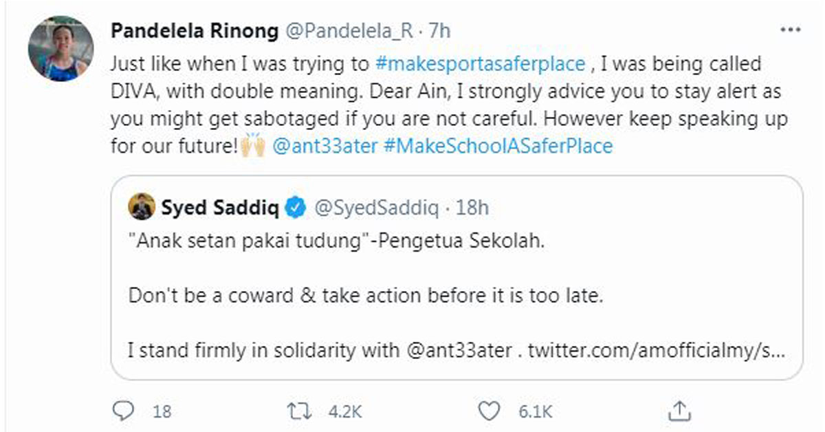 潘德丽拉转发赛沙迪的推文声援艾因。
