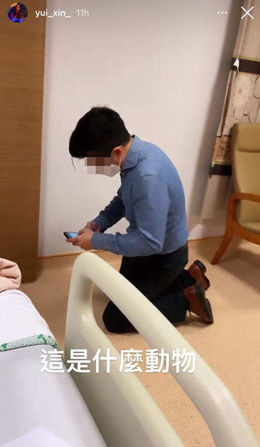 辛尤里IG动态上载一段视频，显示一名穿着蓝色衬衫的眼镜男下跪。