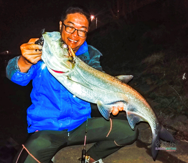 汉江中数量最多的鱼就是翘嘴鲌了，它们会积极地攻击假饵，非常好玩。