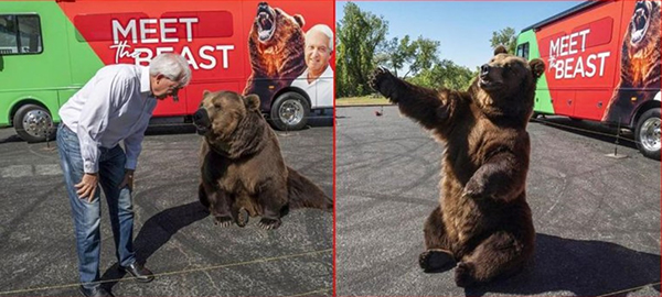 考克斯带棕熊出席集会，引发争议。
