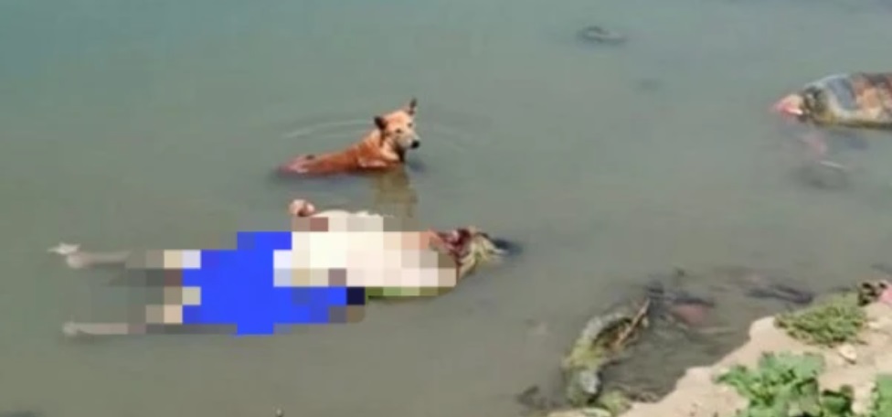 印度社交媒体上疯传的恒河死尸照片。