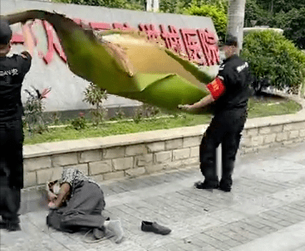 中国广东一名男子被一片叶子砸晕。