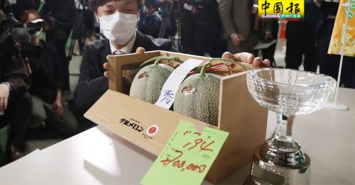 日本一对夕张蜜瓜  10.27万令吉售出