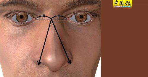研究：鼻子能看出 生殖器長度
