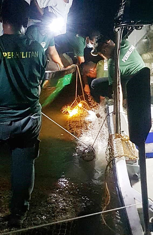渔民在收起笨重渔网时，以为大有所收获，却意外捕获约12尺长的鳄鱼！