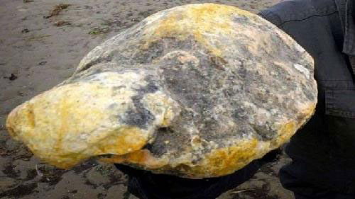 也门一群渔夫在海上发现鲸鱼浮尸，意外在体内发现重达127公斤的龙涎香。
