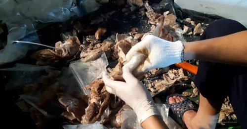越南贩毒集团 K他命塞猪内脏贩运