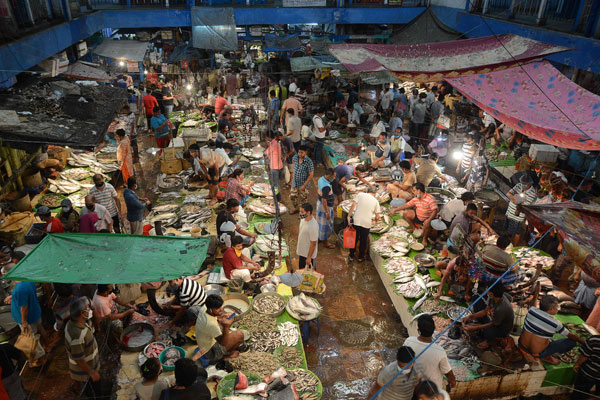 西孟加拉州民众到加尔各答鱼市场购买海鲜。（法新社）
