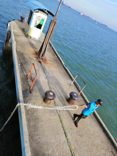 槟岛码头渡轮公司员工上班日常。