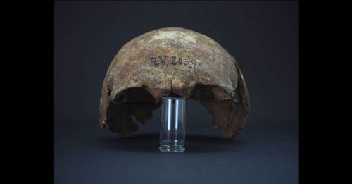 逾5000年前男性遗骸出土  目前最古老鼠疫确诊者