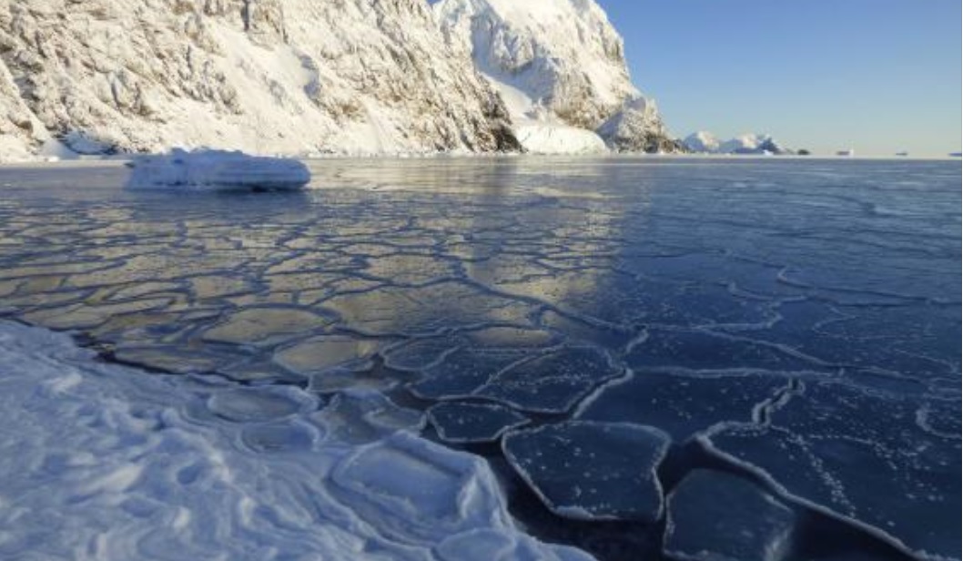 气候变化导致南极气温升高。