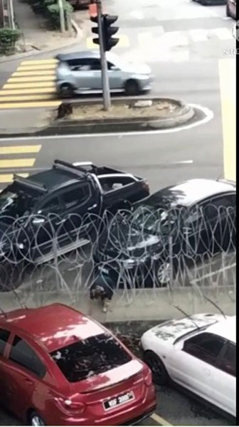 女子趁着无人注意时,连忙从铁蒺藜的空隙爬进去。