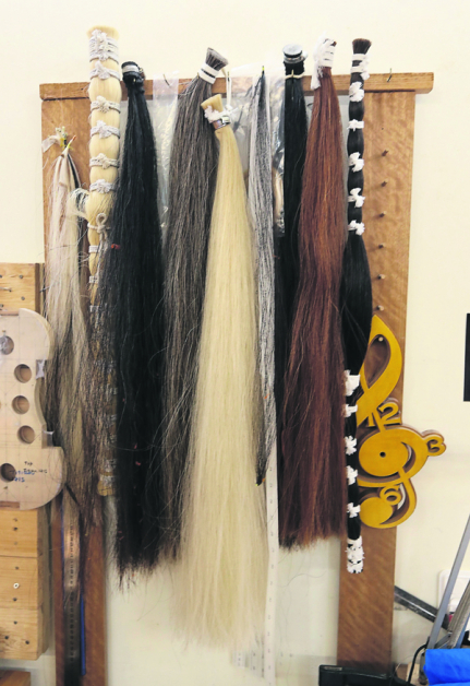 弓毛是以马尾制成，黑色较粗用于制作低音大提琴弓，可以拉出很重的声音，而白色马毛则适合小提琴弓，可拉出细腻的声音。