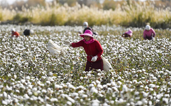 美国屡指控新疆棉花等商品涉强迫劳动。