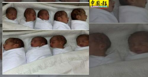 9胞胎日用百片尿布  2个多月开销587万