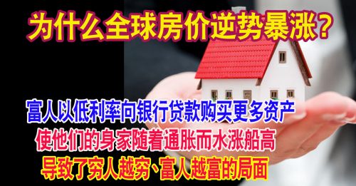 ◤谈房Loan市◢杨景雄：为什么全球房价逆势暴涨？