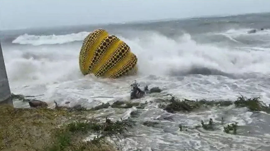南瓜惨遭台风吹下海。