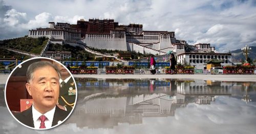 西藏和平解放70周年 汪洋：筑牢共同体意识