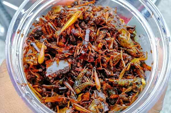 多种口味的火红蚱蜢小吃卖至外州。