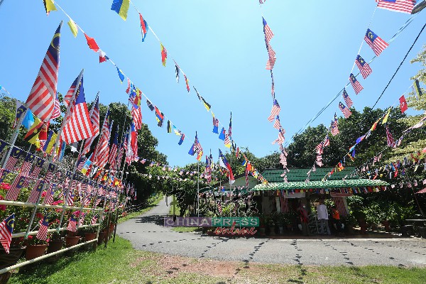 旗海飘扬的住家庭院，每到傍晚时分，总会吸引民众到来“朝圣”。