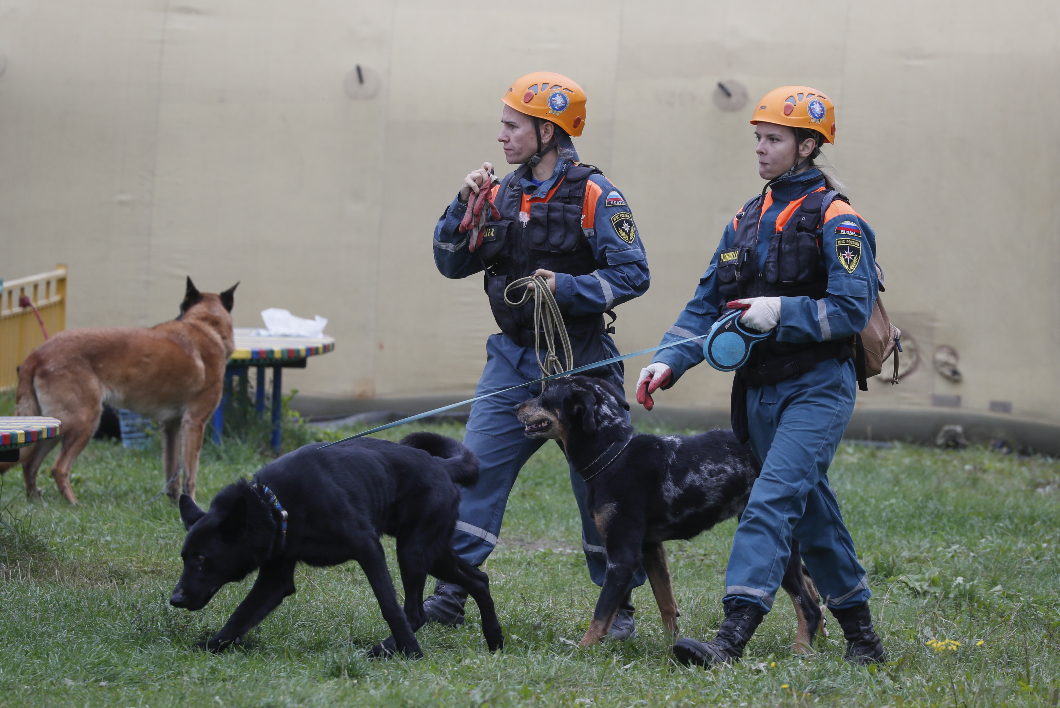 搜救犬参与救援行动。（欧新社）