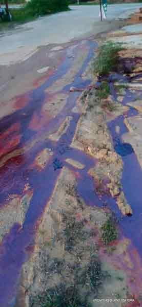 网民于9月22日拍摄到的画面，可清除看见路面上流着红色液体。