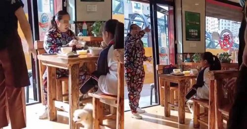 狗在餐厅排泄 女主人骂服务员 “狗眼看人低！”
