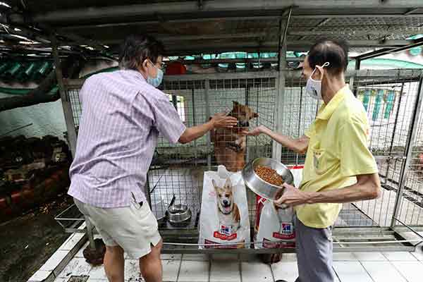 接到公众反馈后，庙宇已着手改善小狗的生活环境，包括在笼子里铺多一些瓷砖，增加活动空间。