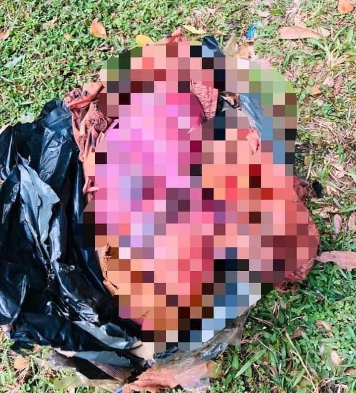 一具婴儿的遗体被布包裹后，再装进垃圾袋丢弃在资源回收桶内。