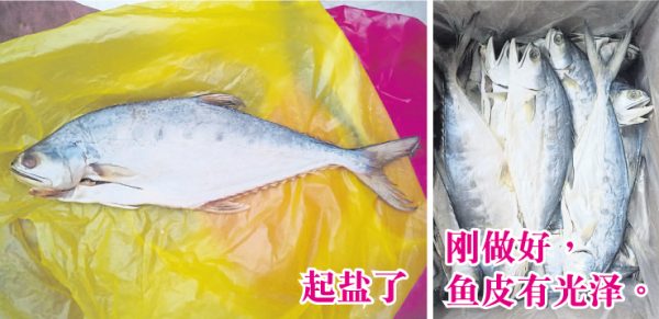 放太久的咸鱼会“起盐”，也就是外层看起来像是覆盖一层白色的盐，起盐的咸鱼还是可食用的，只是风味不佳。