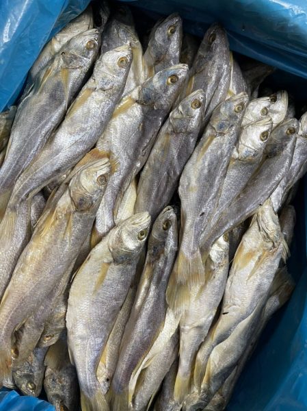 梅香三牙鱼的价格有时会比梅香马鲛鱼还高，但产量少，有大量捕获才会制作。