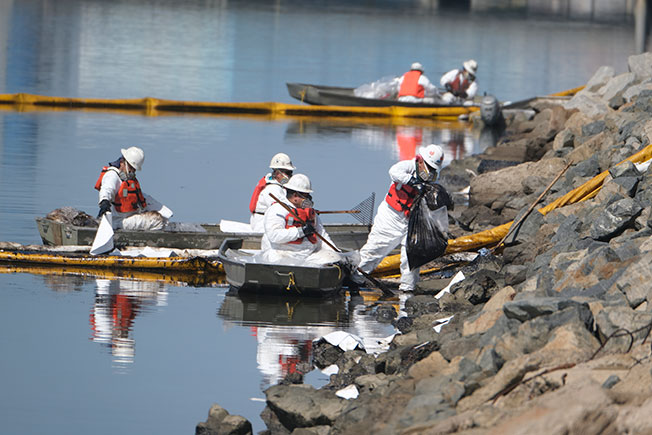 奥兰治县发起救援行动，试图缓解外海大规模漏油事件对生态的重大冲击。（美联社）