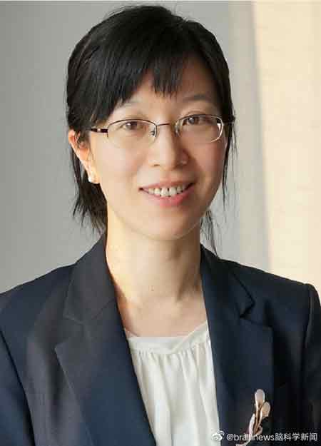 浙江大学脑科学与脑医学学院教授胡海岚。