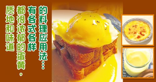 ◤烘焙幸福◢蛋黄 浓郁味蕾