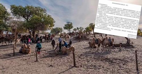 ◤全球大流行◢近万名游客因疫情滞留 内蒙古这封信火了！