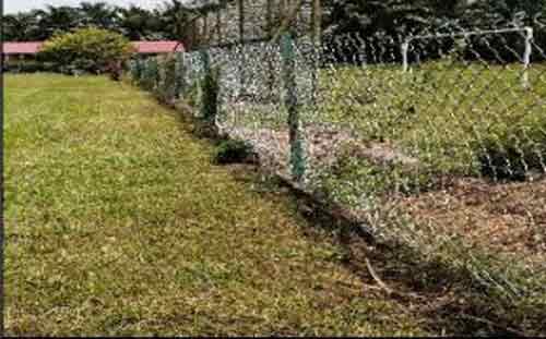 甘榜峇鲁园丘淡小的残旧围篱没有更换。