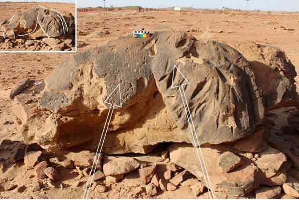 考古学家在沙地阿拉伯北部发现的骆驼雕塑。
