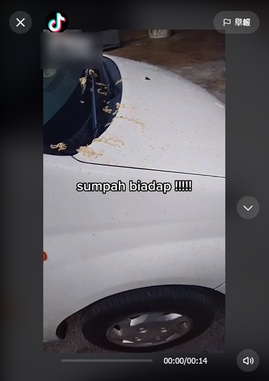 女事主在TikTok上传影片，指有组屋住户从高空抛下快熟面残渣，导致其轿车遭殃。